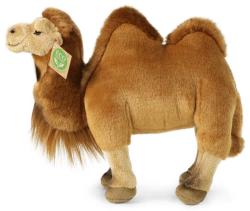 PLYŠ Velbloud 30cm Eco-Friendly (plyšová hračka)