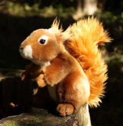 PLYŠ Veverka 20cm Eco-Friendly (plyšová hračka)