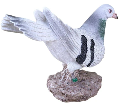 Prodex Holub na kameni 21 x 15 cm dekorativní soška