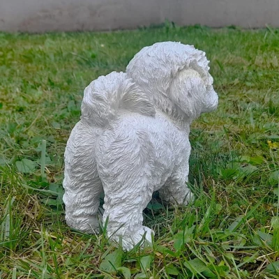 Prodex Pes bišonek 17 x 16 cm polystonová dekorace