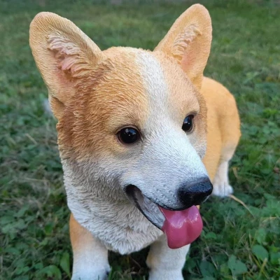 Prodex Welsh Corgi 30 x 26 cm polystonová dekorativní soška psa