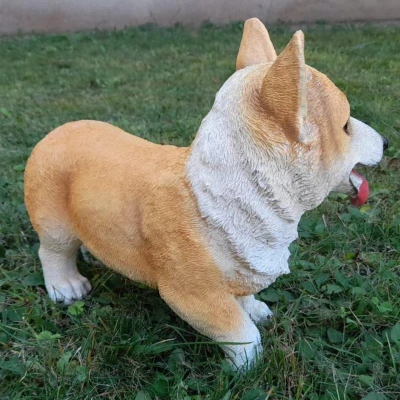 Prodex Welsh Corgi 30 x 26 cm polystonová dekorativní soška psa