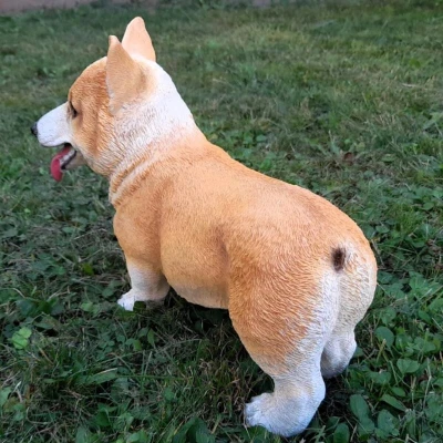 Prodex Welsh Corgi 30 x 26 cm polystonová dekorativní soška psa