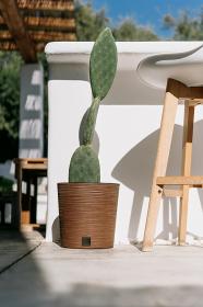 Prosperplast Květináč FURU ROUND LOW ECO WOOD 30 cm naturo