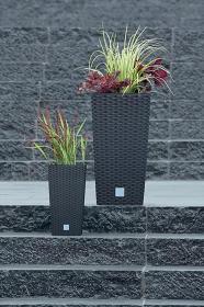 Prosperplast Obal RATO SQUARE 26,5x26,5x50cm, 11/26,6l, ANTR (S433)