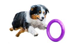 Puller Hračka pro psy Midi Waudog 19,5 cm