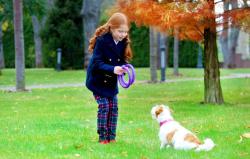 Puller Hračka pro psy Mini Waudog 18 cm