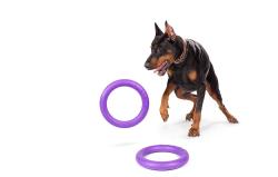 Puller Hračka pro psy Waudog 28 cm