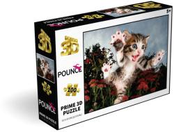 PUZZLE 3D Koťátko 31x23cm 100 dílků skládačka v krabici