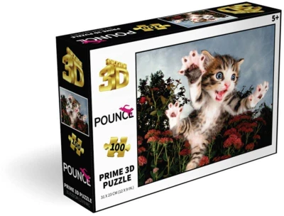 PUZZLE 3D Koťátko 31x23cm 100 dílků skládačka v krabici