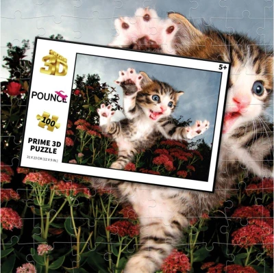 PUZZLE 3D Koťátko 31x23cm 100 dílků skládačka v krabici