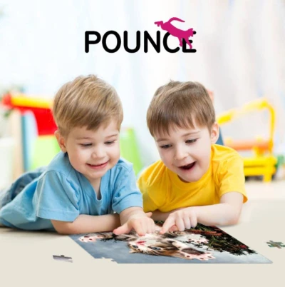 PUZZLE 3D Koťátko 31x23cm 100 dílků skládačka v krabici