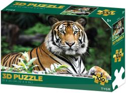PUZZLE 3D Tygr 31x23cm 100 dílků skládačka v krabici
