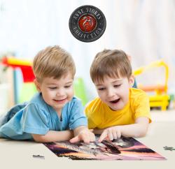 PUZZLE Prime 3D Dívka a jednorožec 31x23cm 100 dílků holografické