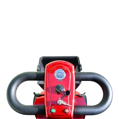 RACCEWAY Elektrický čtyřkolový vozík Split vínový