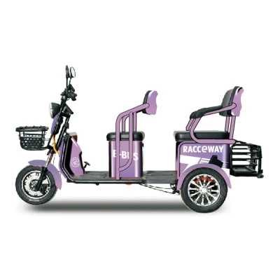 RACCEWAY E-BUS fialový elektrický dvousedadlový vozík