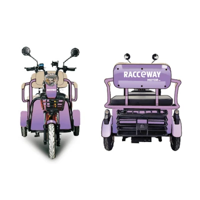 RACCEWAY E-BUS fialový elektrický dvousedadlový vozík