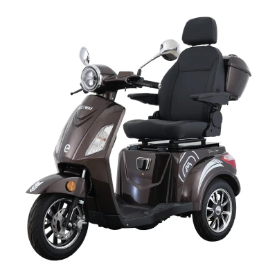 RACCEWAY VIA Lux kávový elektrický tříkolový vozík