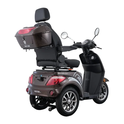 RACCEWAY VIA Lux kávový elektrický tříkolový vozík