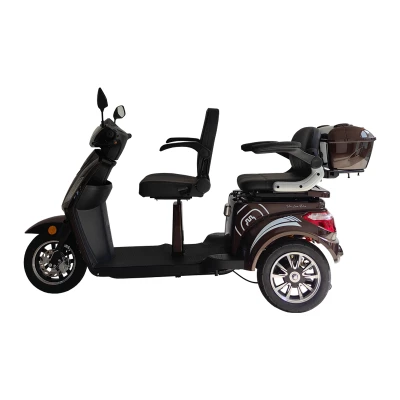 RACCEWAY VIA LUX DUO kávový elektrický tříkolový vozík