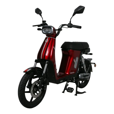 RACCEWAY Elektroskútr E-babeta II vínová + sleva 1500,- na příslušenství