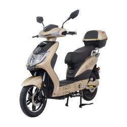 RACCEWAY Elektroskúter E-fichtl sv.zlatý-matný s batériou 20Ah + zľava 40 € na príslušenstvo