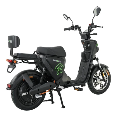 RACCEWAY Elektroskútr Pařez 25 bez ŘP černý