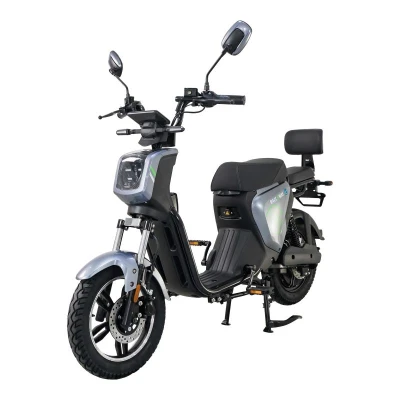 RACCEWAY Elektroskútr Pařez 25 bez ŘP šedý + sleva 1500,- na příslušenství