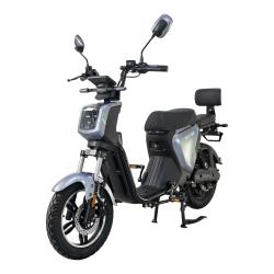 RACCEWAY Elektroskútr Pařez 25 bez ŘP šedý bez baterie + sleva 1000,- na příslušenství