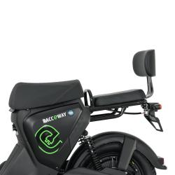 RACCEWAY Elektroskútr Pařez 25 bez ŘP šedý bez baterie + sleva 1000,- na příslušenství