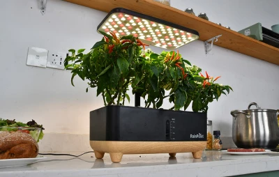 Rainpoint Hydroponická pěstební sada