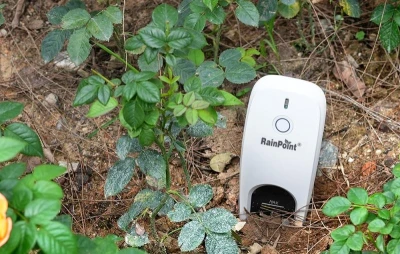 Rainpoint Venkovní snímač vlhkosti půdy