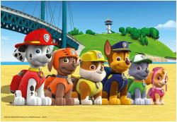 Ravensburger Puzzle Tlapková Patrola Stateční psi 48 dílků skládačka 2v1