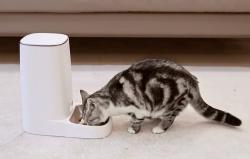 Rojeco Automatické krmítko 4 l (jedna miska)