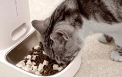 Rojeco Automatické krmítko 4 l (jedna miska)