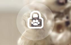 Rojeco Automatické krmítko pro domácí mazlíčky 6 jídel 3600 mAh