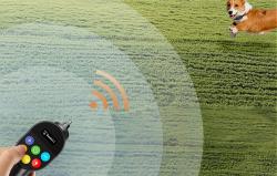 Rojeco Elektrický obojek proti štěkání PD800 (černý)