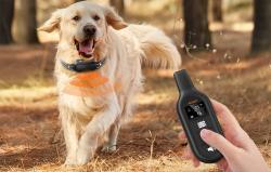 RojecoPD521 1000m výcvikový obojek pro psy se 2 obojky (černý)