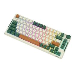 Royal Kludge Bezdrátová mechanická klávesnice RKH81 RGB, Sky cyan switch (zelený)