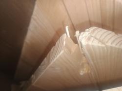 Rulyt ZAHRADNÍ UDÍRNA VELKÁ - POŠKOZENO