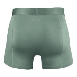 Salming 2-Pack Bamboo Boxer Black / Green