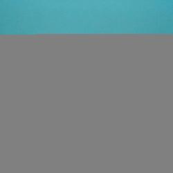 Salming Viper Pro White/Green sálovky