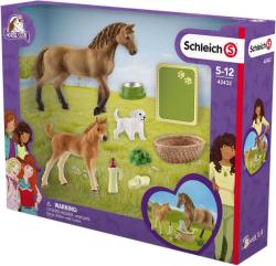 SCHLEICH Quarter kůň a hříbě set se štěňátkem a doplňky plast