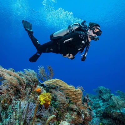 Scubapro Ploutve ploutve SEAWING NOVA