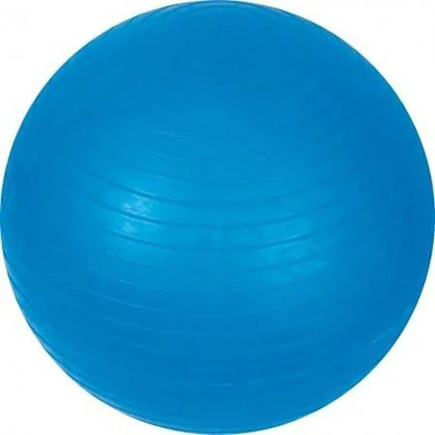 Sedco Gymnastický míč 55cm SUPER