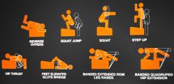 Sedco Hip thrust / Glute Plyo box 63,5×54×40 cm