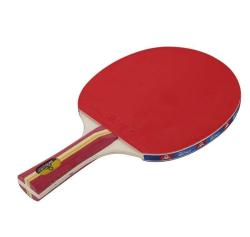 Sedco Pálka na stolný tenis PLUS A04 Sedco Pálka na stolný tenis PLUS A04