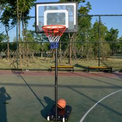 Sedco Panel na basket se stojanem BS001