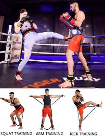 Sedco Tréninkový odporový systém Fitness/Box/MMA