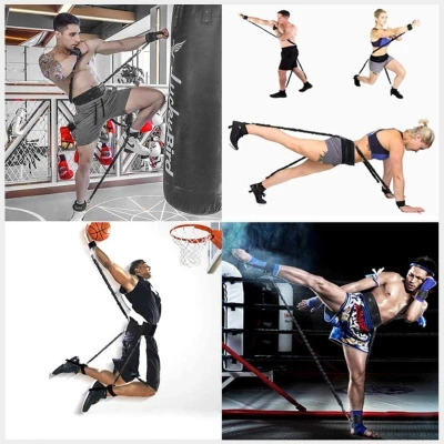 Sedco Tréninkový odporový systém Fitness/Box/MMA